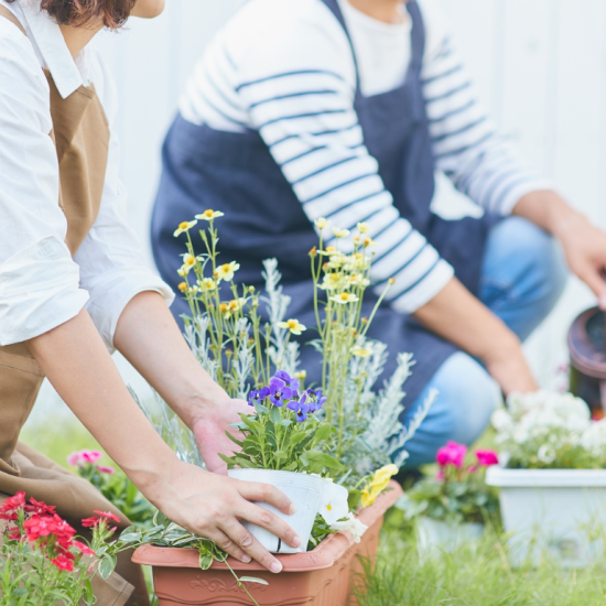 Dwie osoby sadzą kwiaty w donicach.